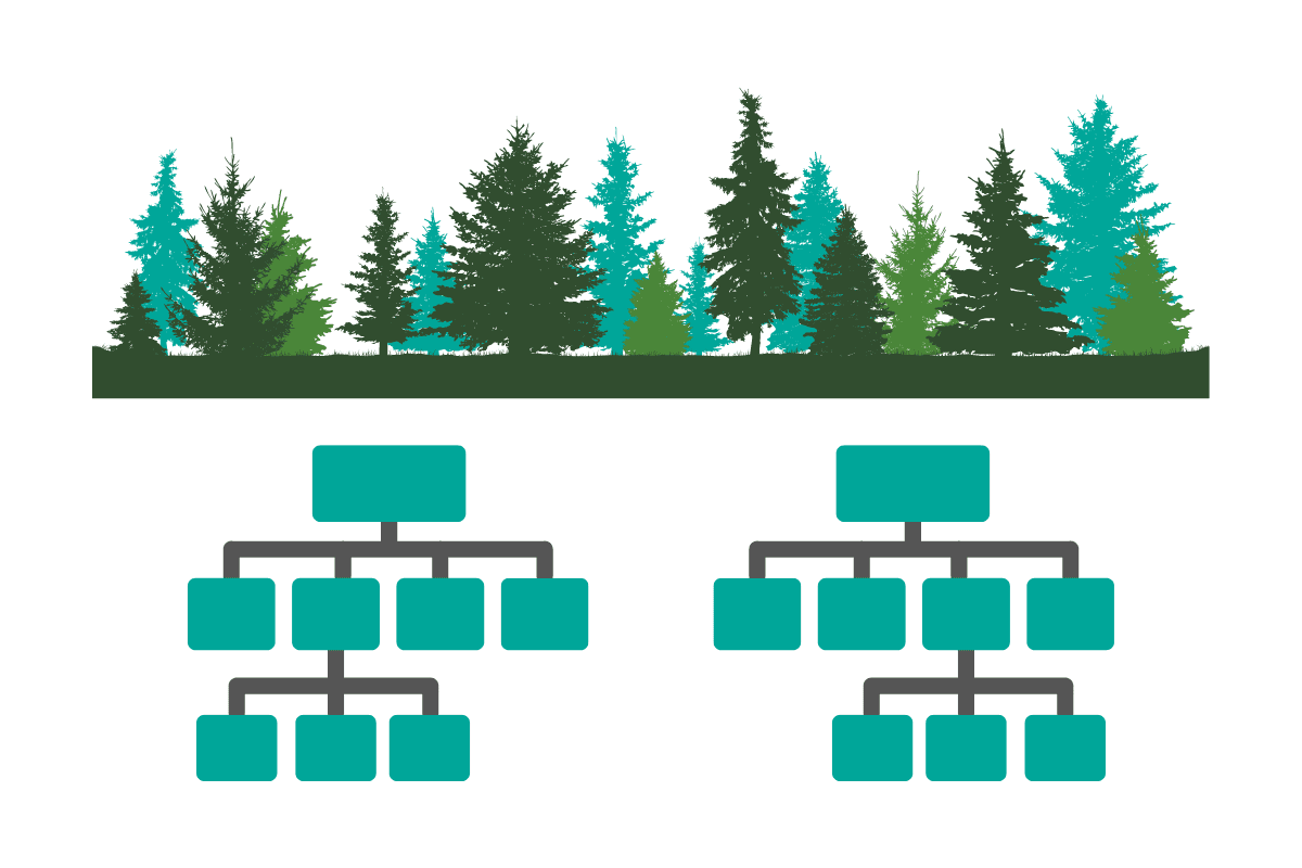 Random Forest Concept