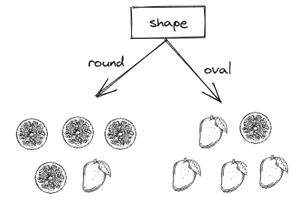 Using shape feature to split data in Decision Tree algorithm